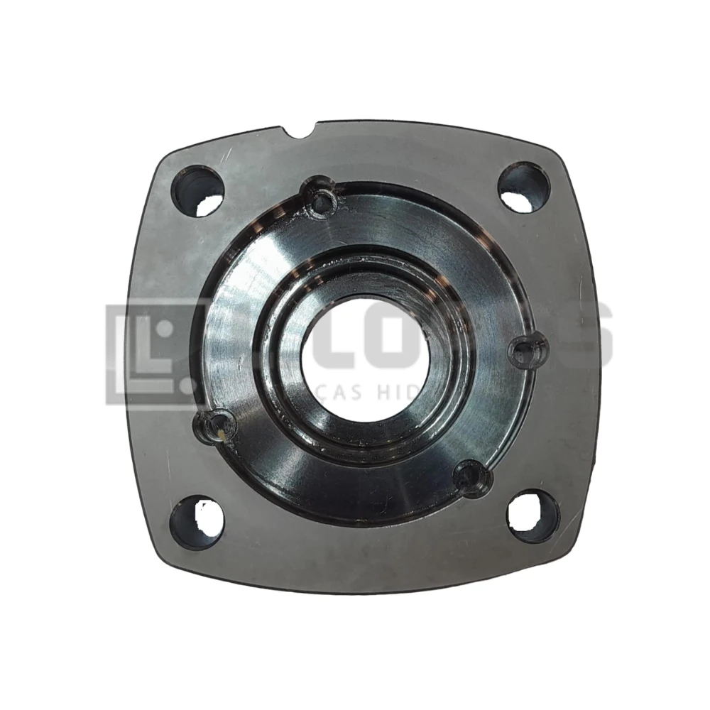 Placa De Desgaste Motor Char-Lynn 2000 (1752)